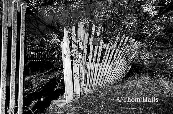 Broken gate and fence, Academy, Ca. 2006