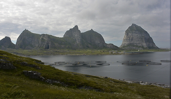 Island of Sanna