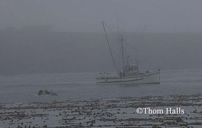 Noyo Harbor morning, Fort Bragg, Ca. 2007