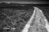 Road north of Cayucos, Cayucos, Ca. 2007