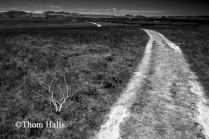 Road north of Cayucos, Cayucos, Ca. 2007