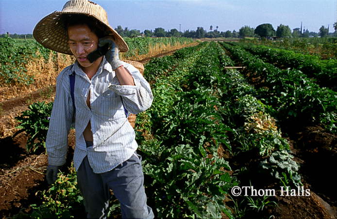 Vang Pao, Hmong Famrer, Fresno, Ca. 2001