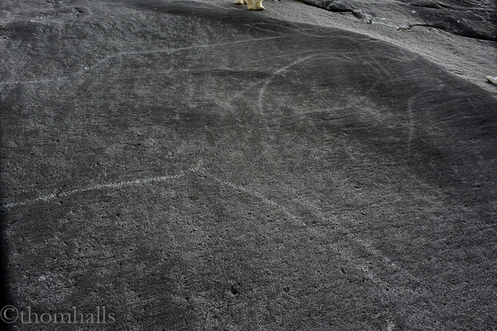 etchings from the vikings